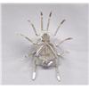 Image 3 : Native American Navajo Spider Pin by E. Spencer