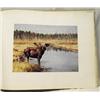 Image 3 : Book-The Great American Shooting Prints