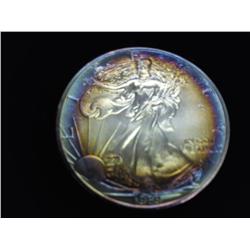 1989 AMERICAN SILVER EAGLE