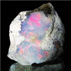 16.9ct Etheopian Opal Rough  (GEM-32752)