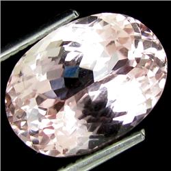 7.30ct Flawless Oval Natural Pink Kunzite (GEM-17850)