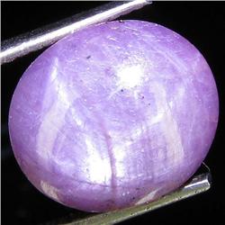 11.25ct Natural Star Ruby Well Patterned  (GEM-32083)