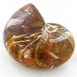 3245ct Whole Crystalized Ammonite (MIN-000030)