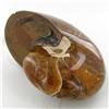 Image 2 : 3245ct Whole Crystalized Ammonite (MIN-000030)