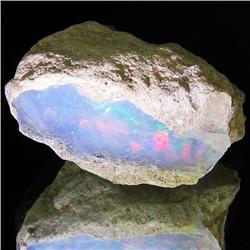28.55ct Etheopian Opal Rough  (GEM-32715)