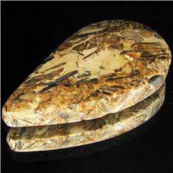 72.55ct Rare Desert Agate Cabochon (GEM-33124)