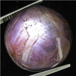 53.35ct Natural Star Ruby Well Patterned  (GEM-32158)