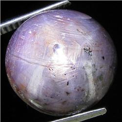 17.75ct Natural Star Ruby Well Patterned  (GEM-32112)