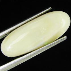 5.25ct Australian Milky Opal (GEM-35323)