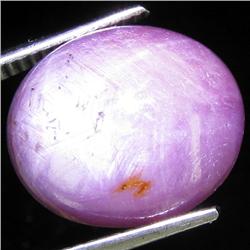 18.20ct Natural Star Ruby Well Patterned  (GEM-32130)