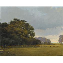 Padraig Lynch (b.1936) BRANNIGAN'S FIELD, 1989