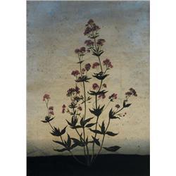 Michael Canning (b.1971) ANNO, 2007