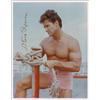 Steve Reeves