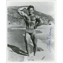 Steve Reeves