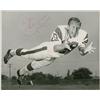Image 3 : Football Hall of Famers