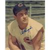 Image 1 : Ted Kluszewski