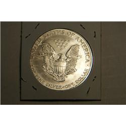 1996 SILVER EAGLE