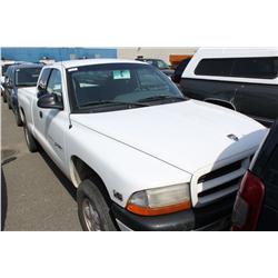 2000 WHITE DODGE DAKOTA SPORT 2DR PICK UP