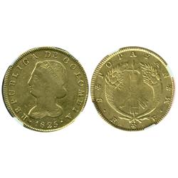 Popayan, Colombia, 8 escudos, 1825FM, encapsulated NGC XF-40, ex-Frank Sedwick collection.