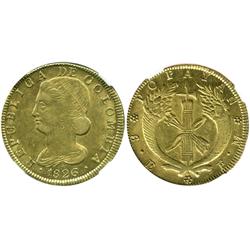 Popayan, Colombia, 8 escudos, 1826FM, encapsulated NGC XF-45.