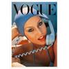 Image 1 : Vogue May 1975 Cover Poster