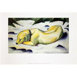 Marc The White Dog Poster