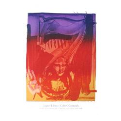 1989 Johns Figure 7 Poster