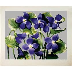 Signed 1981 Nesbitt Viola Adorata Serigraph
