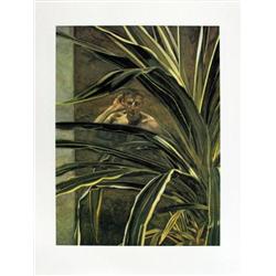 Freud Interior w/ Plant, Reflection Poster