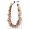 Image 1 : Buffalo Tooth Necklace