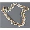 Image 1 : Cowrie Shell Necklace