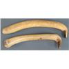 Image 2 : Two Hide Fleshers