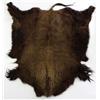 Image 1 : Buffalo Hide
