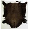 Image 2 : Buffalo Hide