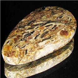 63.31ct Rare Desert Agate Cabochon (GEM-33129)