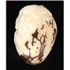 Image 2 : Chinese Handcarved Tagua Ivory Nut (CLB-731)