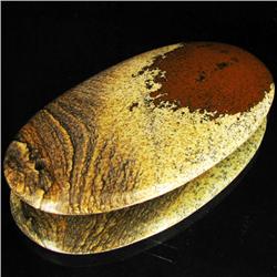 125.38ct Rare Desert Agate Cabochon (GEM-33164)