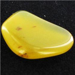 7.2ct Yellow Opal Freeform Cabochon (GEM-34255)
