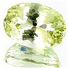 49.73ct Champ. Green Kunzite Appraised $27k (GEM-26317)