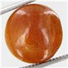 9.75ct Vibrant Sunstone Cat's Eye Cabochon  (GEM-32060)