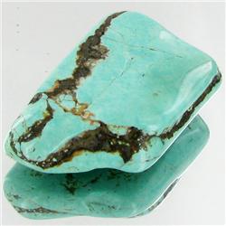 51.75ct Green Turquoise Freeform Cabochon (GEM-33783)