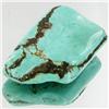 51.75ct Green Turquoise Freeform Cabochon (GEM-33783)