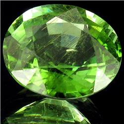 10.76ct Golden Gn Cuprian Tourmaline Apprsd $133k (GEM-26824)