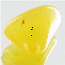 17.45ct Yellow Opal Freeform Cabochon (GEM-34216)