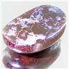 45.70ct Australian Bounder Opal  (GEM-31334)