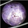 20.30ct Natural Star Ruby Well Patterned  (GEM-32082)