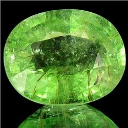 4.85ct Green Yellow Cuprian Tourmaline Appraised $43k (GEM-29527)