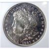 Image 2 : 1881S Morgan $  ANACS65 graded right