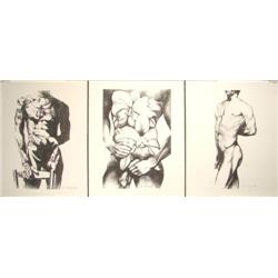 Suite of 3 Male Nude Art Prints Lowell Nesbitt Gay