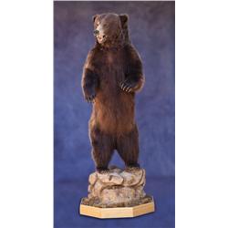 Full Body Mount Standing Grizzly Bear